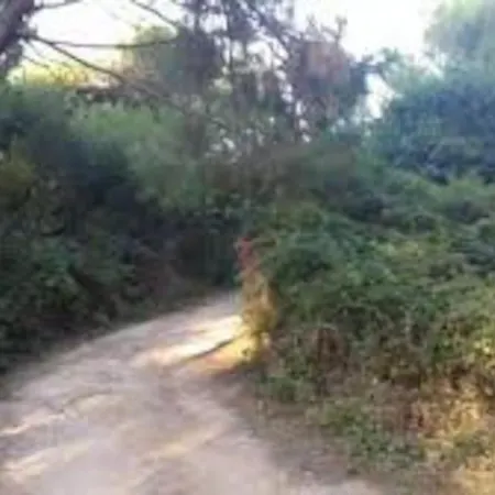 Villa Salentina Immersa Nel Verde Conca Specchiulla