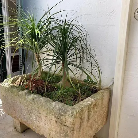 Salentina Immersa Nel Verde * Conca Specchiulla